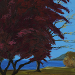 Tree in Stanley Park